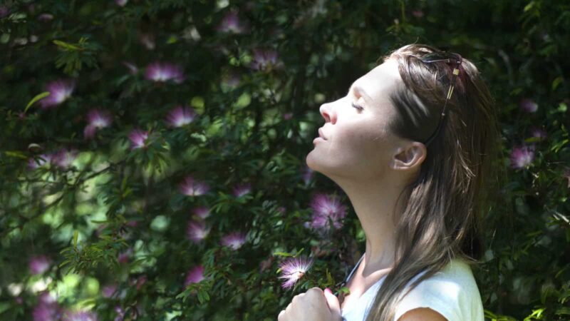Gratitude's amazing effects